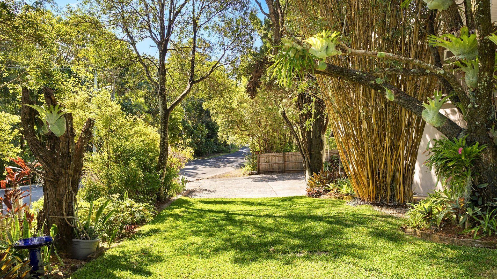 Sold - 23 Coolamon Scenic Drive - New Property in Mullumbimby - Real Estate by Tezu Harrison