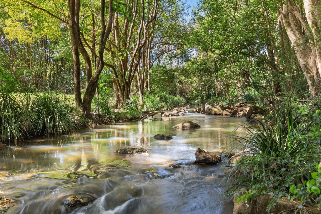 Sold - 1 Taylor Road - New Property in Chilcotts Grass - Real Estate by Bill Johnston