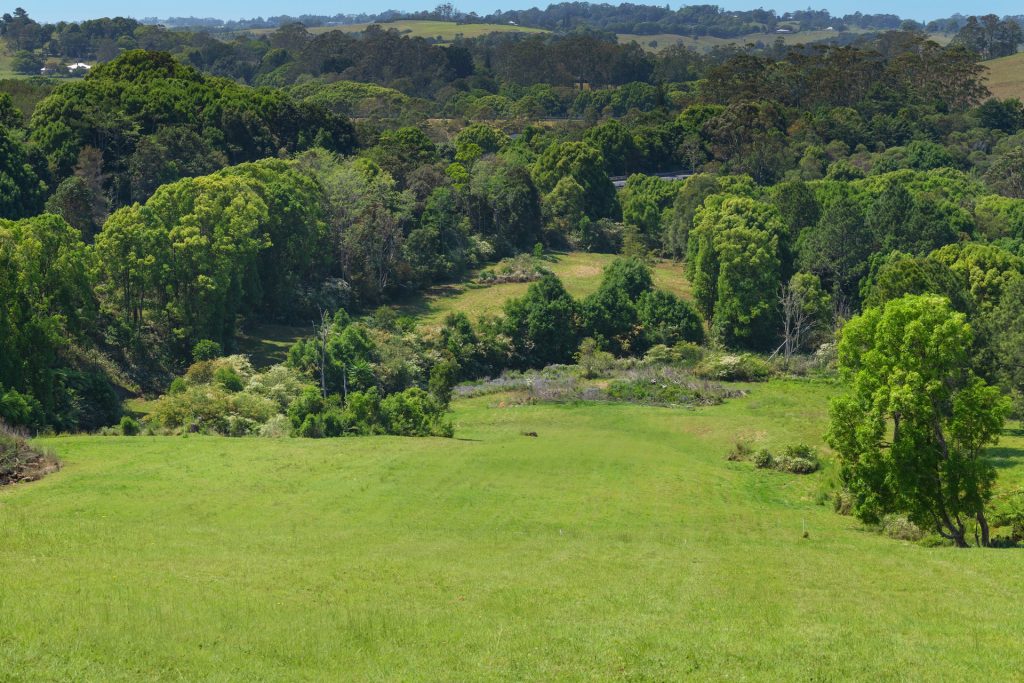 Sold - 68 Rankin Drive - New Property in Bangalow - Real Estate by Nick Dunn