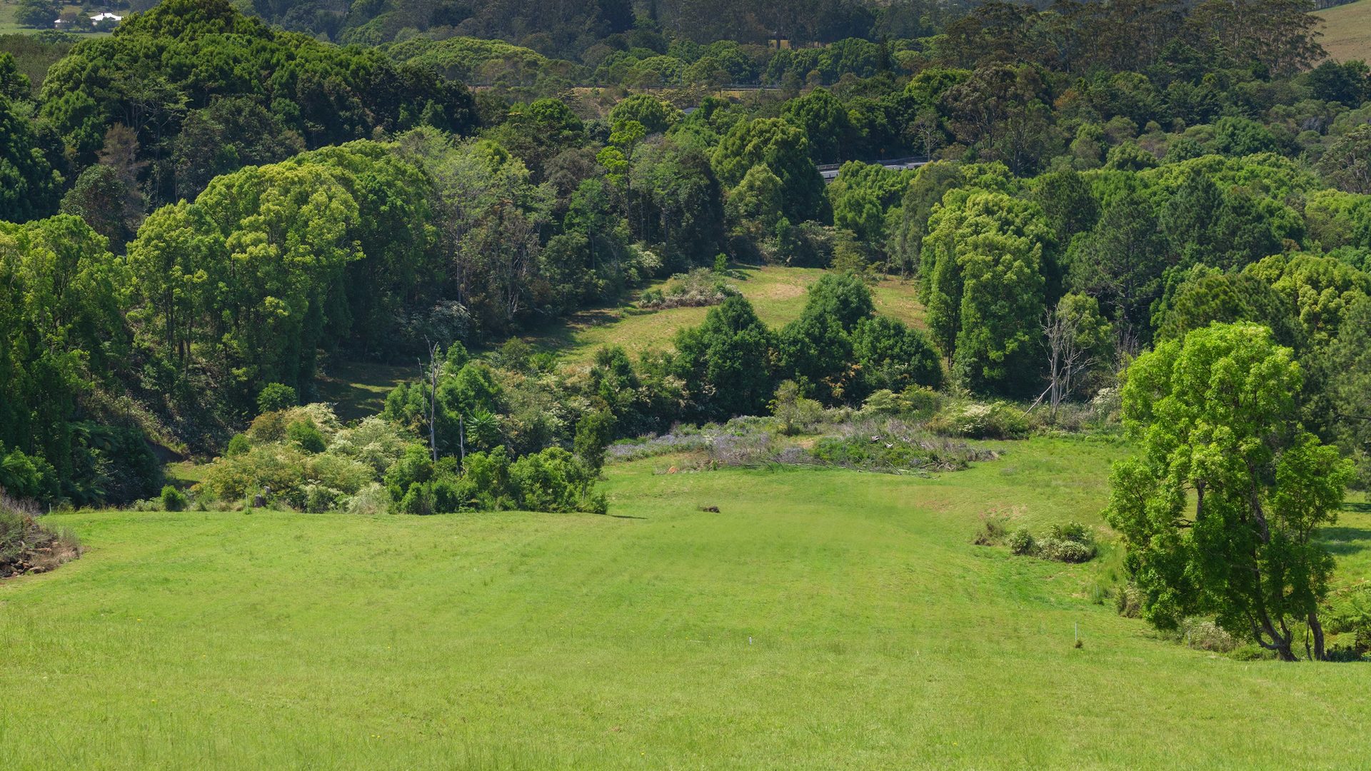 For Sale - 68 Rankin Drive - New Property in Bangalow - Real Estate by Nick Dunn