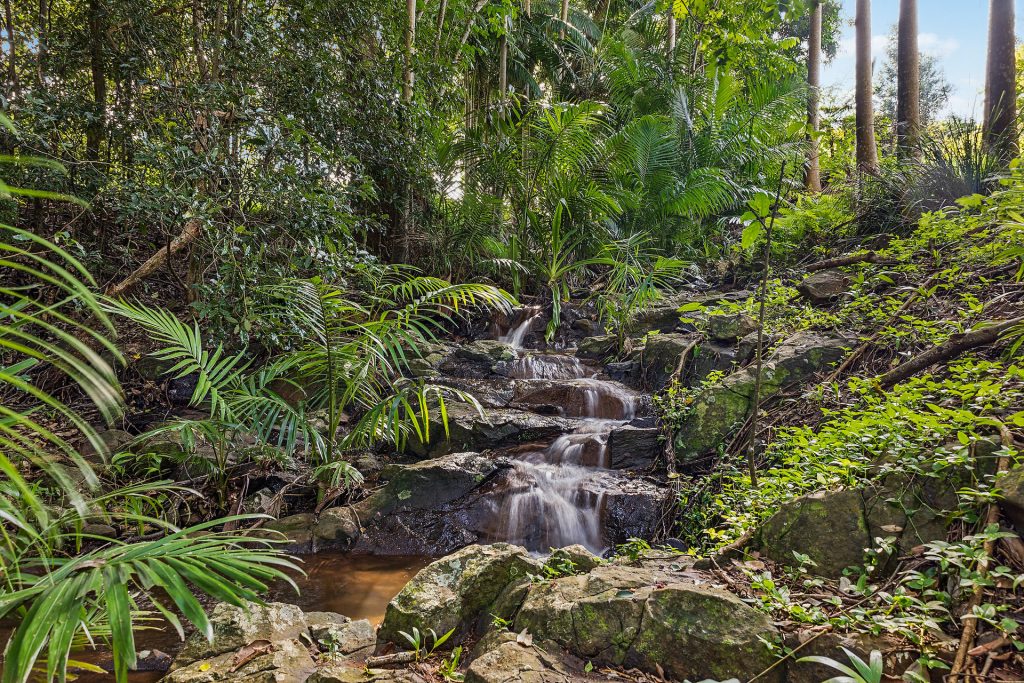 Sold - 22 Ficus Lane - New Property in Dalwood - Real Estate by Bill Johnston