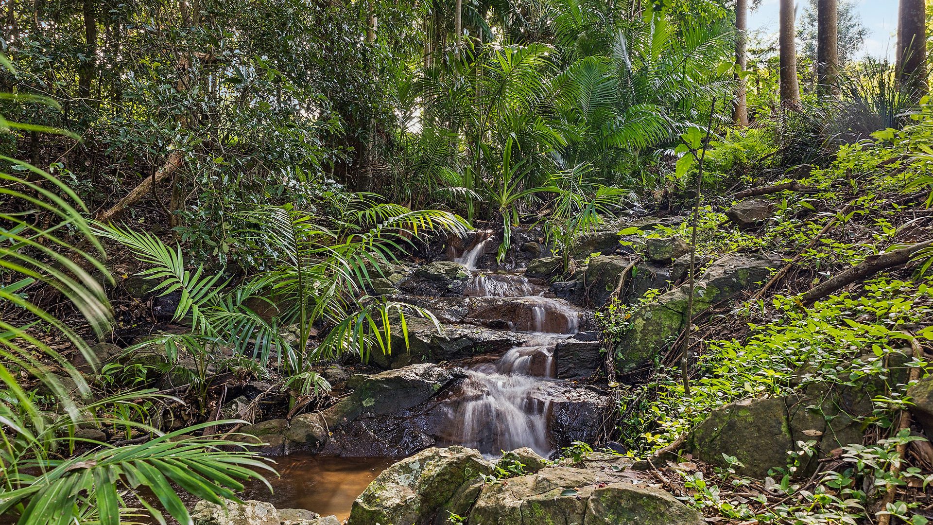 Sold - 22 Ficus Lane - New Property in Dalwood - Real Estate by Bill Johnston