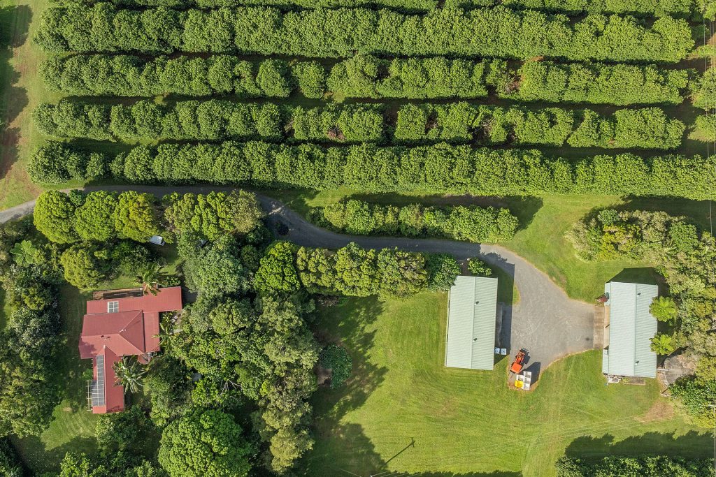 Sold - 22 Ficus Lane - New Property in Dalwood - Real Estate by Bill Johnston