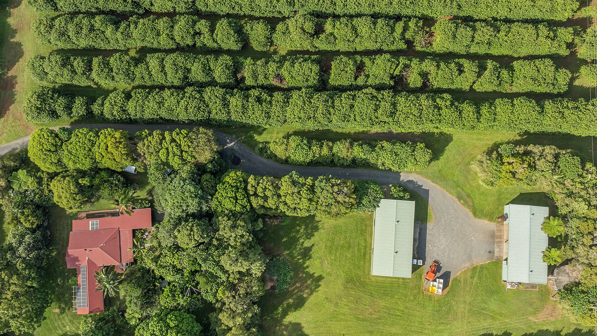 Sold - 22 Ficus Lane - New Property in Dalwood - Real Estate by Bill Johnston