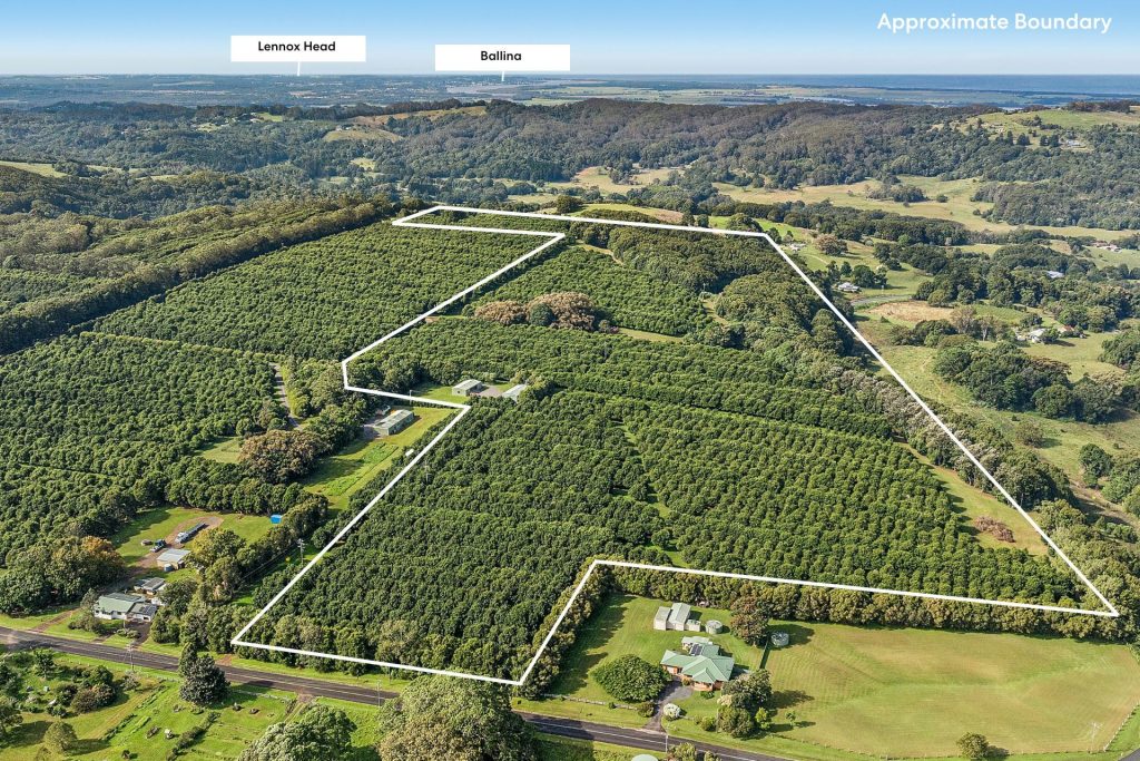 Sold - 22 Ficus Lane - New Property in Dalwood - Real Estate by Bill Johnston