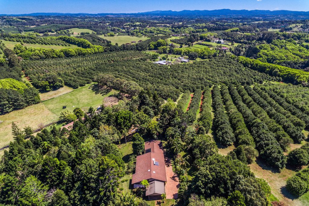Sold - 365 Rifle Range Road - New Property in Alstonville - Real Estate by Bill Johnston