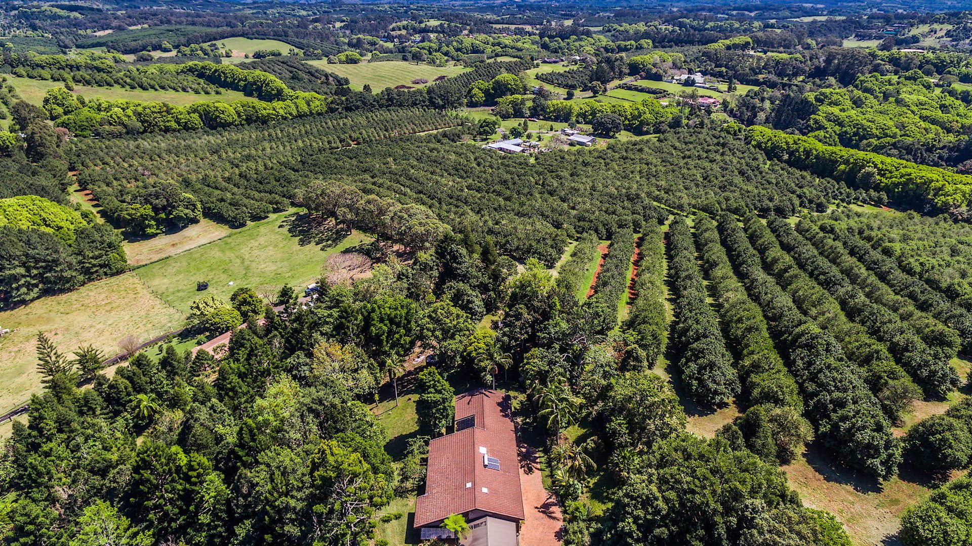 Sold - 365 Rifle Range Road - New Property in Alstonville - Real Estate by Bill Johnston