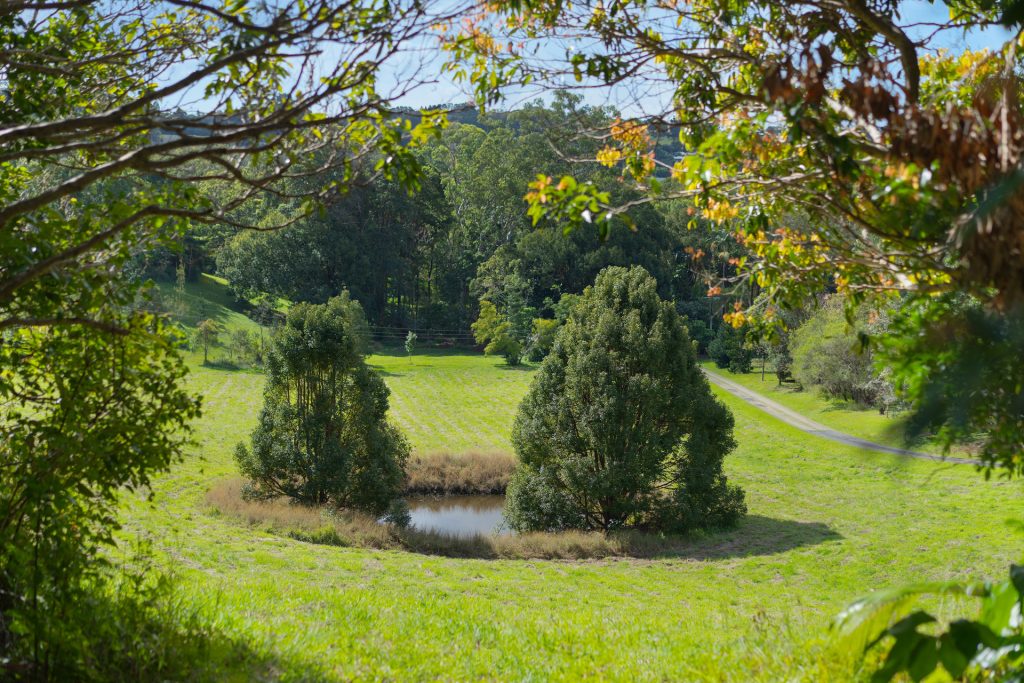 Sold - 63 Kingsvale Road - New Property in Myocum - Real Estate by Ian Daniels