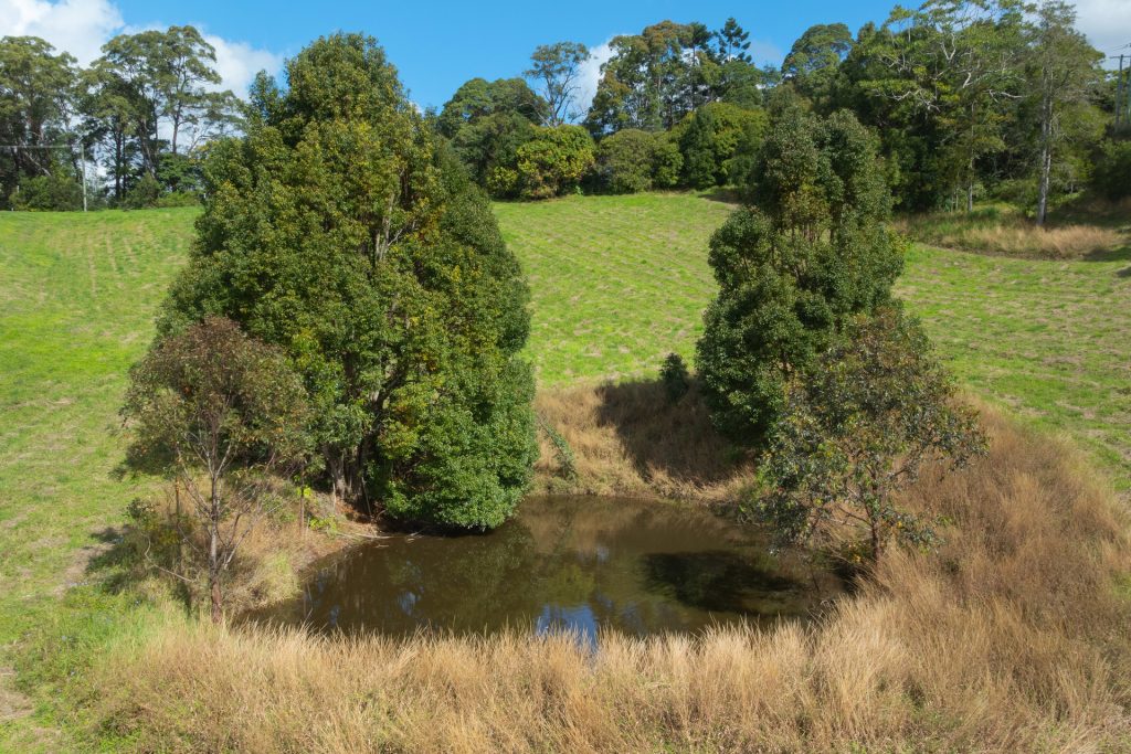 Sold - 63 Kingsvale Road - New Property in Myocum - Real Estate by Ian Daniels