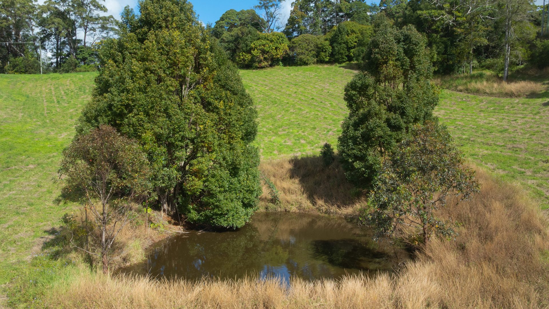 Sold - 63 Kingsvale Road - New Property in Myocum - Real Estate by Ian Daniels