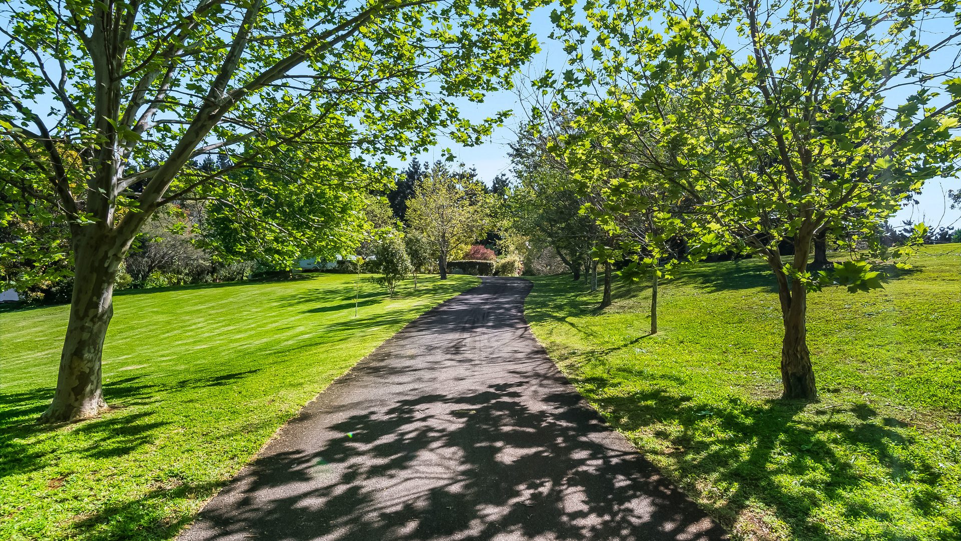 Sold - 42 Phoenix Drive - New Property in Tintenbar - Real Estate by Nick Bordin
