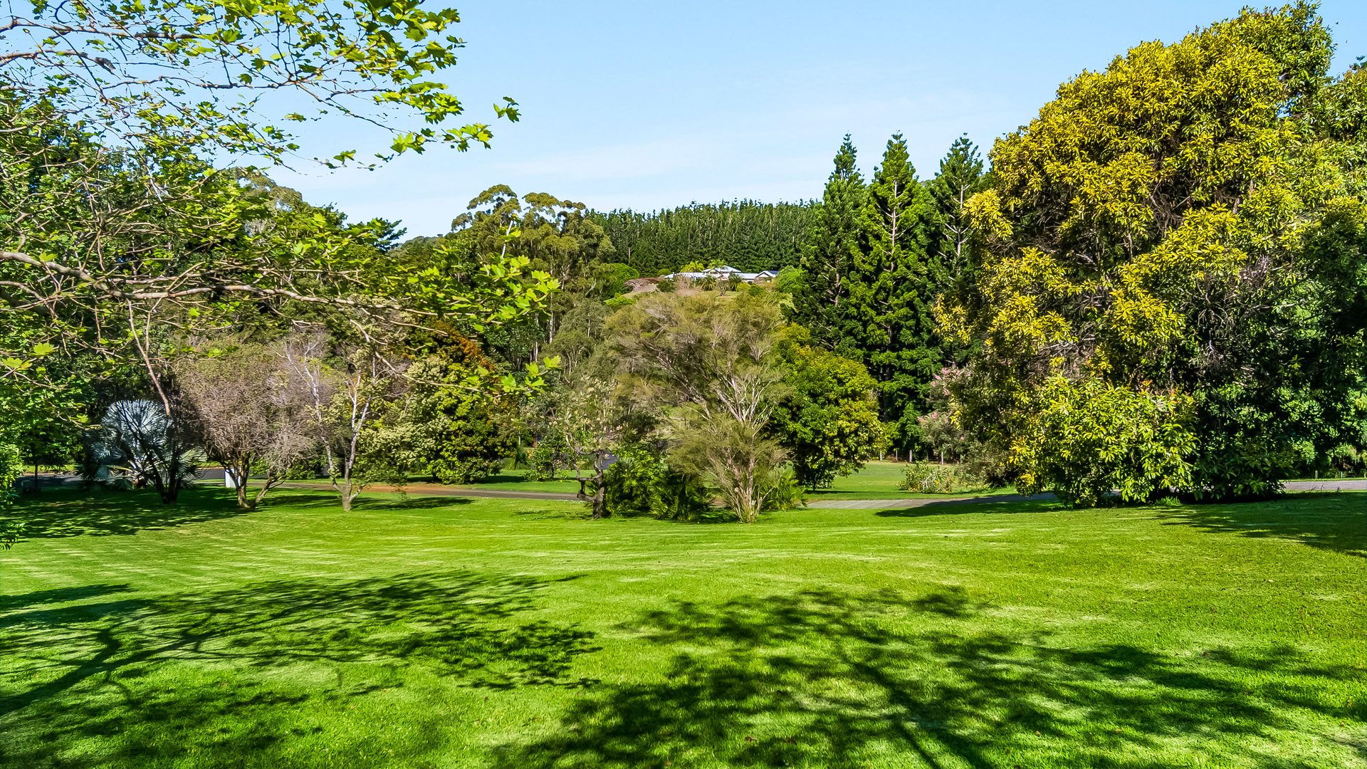 Sold - 42 Phoenix Drive - New Property in Tintenbar - Real Estate by Nick Bordin