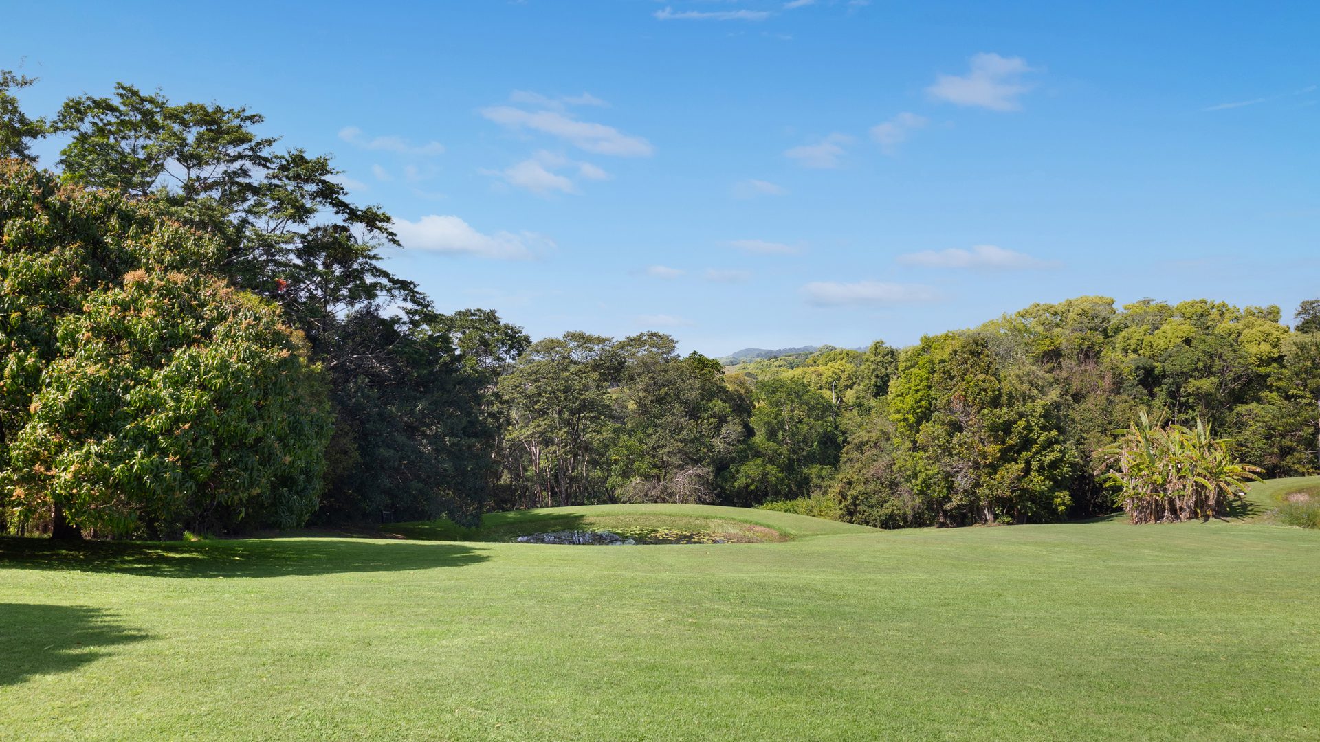 Sold - 20 Eden Valley Drive - New Property in Alstonville - Real Estate by Bill Johnston