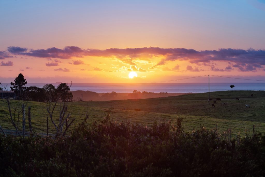 Sold - 26 Old Byron Bay Road - New Property in Newrybar - Real Estate by Tezu Harrison