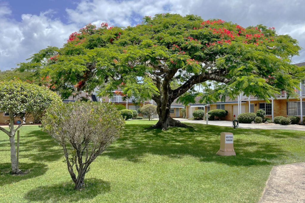 Sold - 17/114 Cherry Street - New Property in Ballina - Real Estate by Nathan Mills & Ben Gatwood