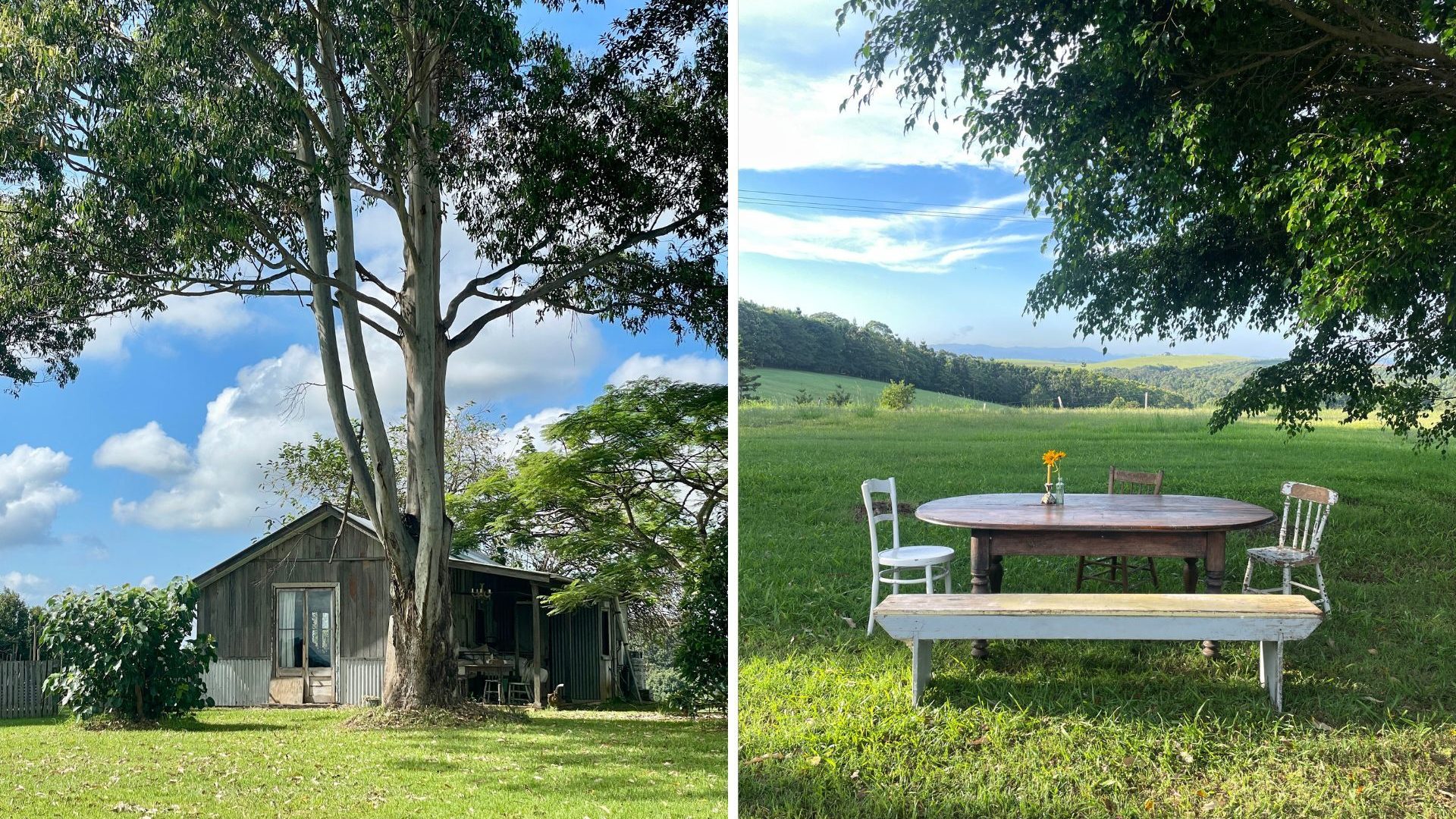 Sold - 193 Brooklet Road - New Property in Brooklet - Real Estate by Nick Dunn