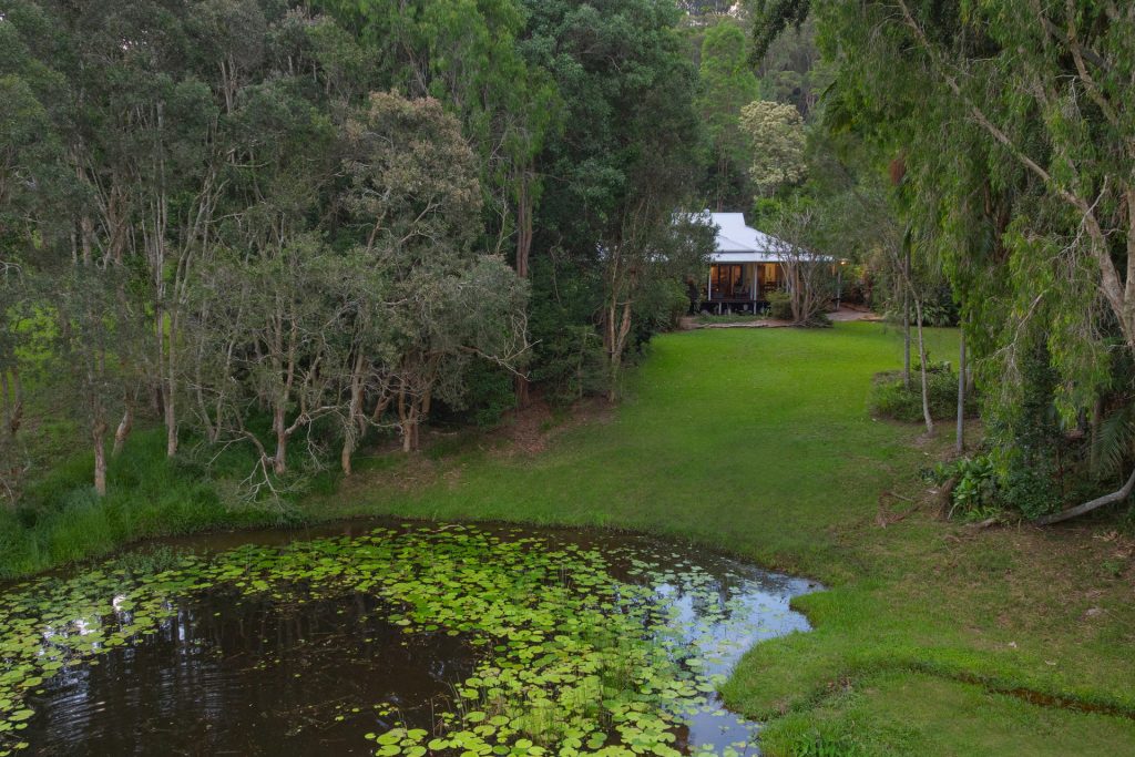 Sold - 36 Brushbox Drive - New Property in Mullumbimby Creek - Real Estate by Ollie Charkos