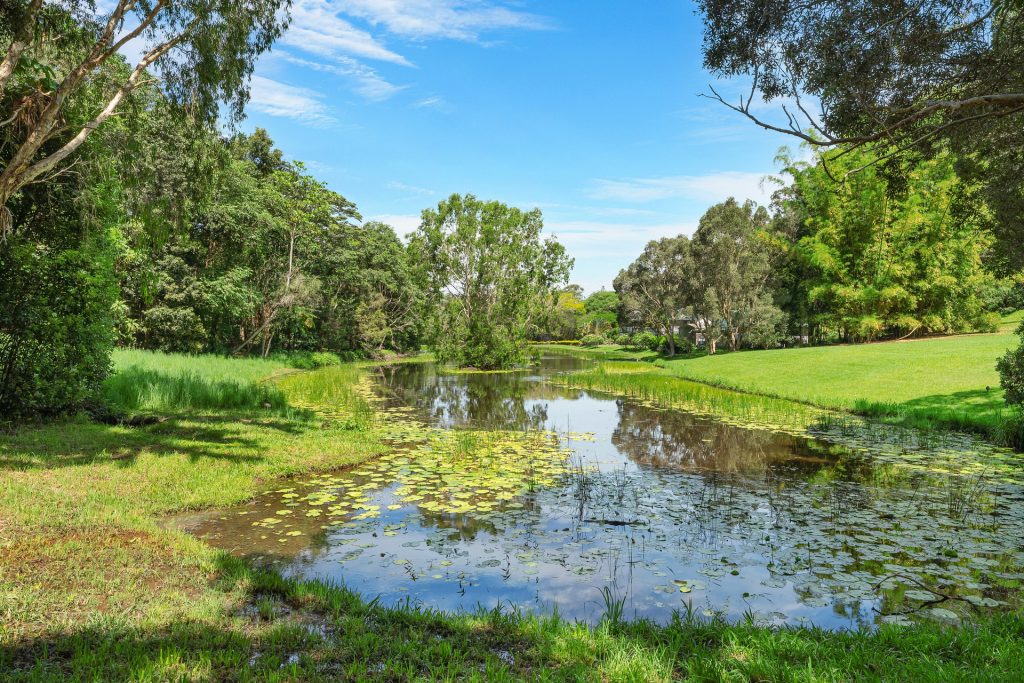 Sold - 36 Brushbox Drive - New Property in Mullumbimby Creek - Real Estate by Ollie Charkos