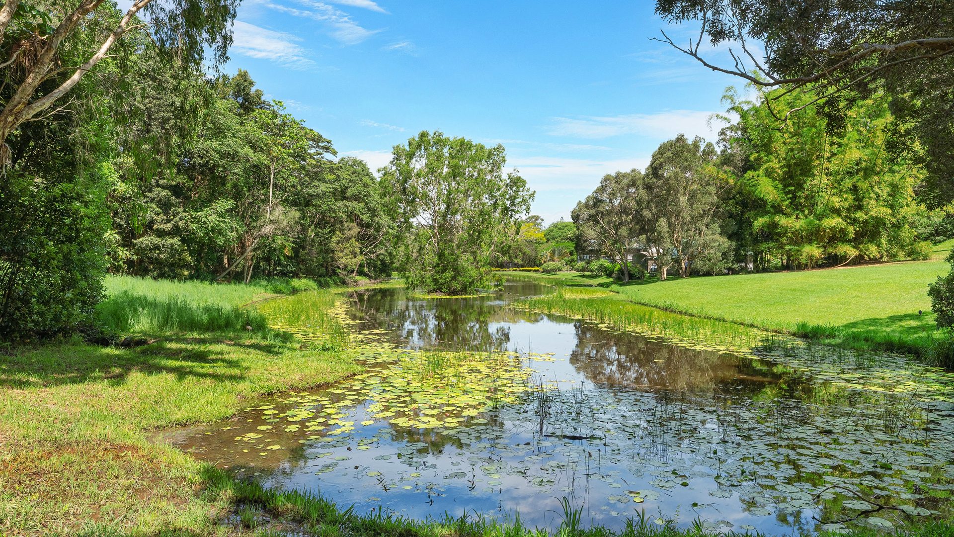 Sold - 36 Brushbox Drive - New Property in Mullumbimby Creek - Real Estate by Ollie Charkos