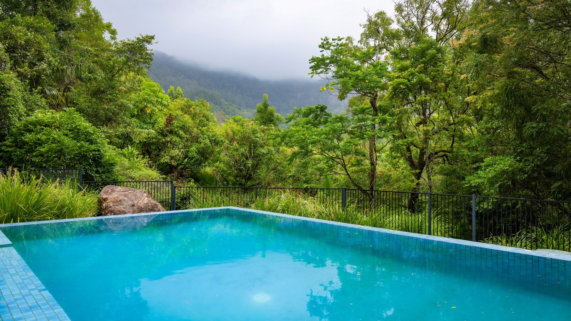For Sale - 715 Left Bank Road - New Property in Mullumbimby Creek - Real Estate by Tezu Harrison