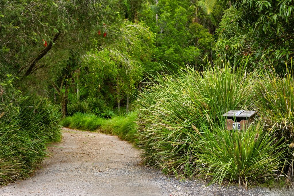 For Sale - 715 Left Bank Road - New Property in Mullumbimby Creek - Real Estate by Tezu Harrison
