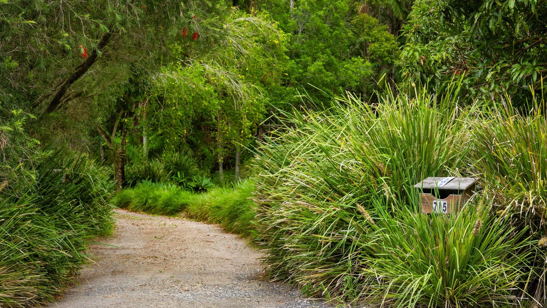 For Sale - 715 Left Bank Road - New Property in Mullumbimby Creek - Real Estate by Tezu Harrison