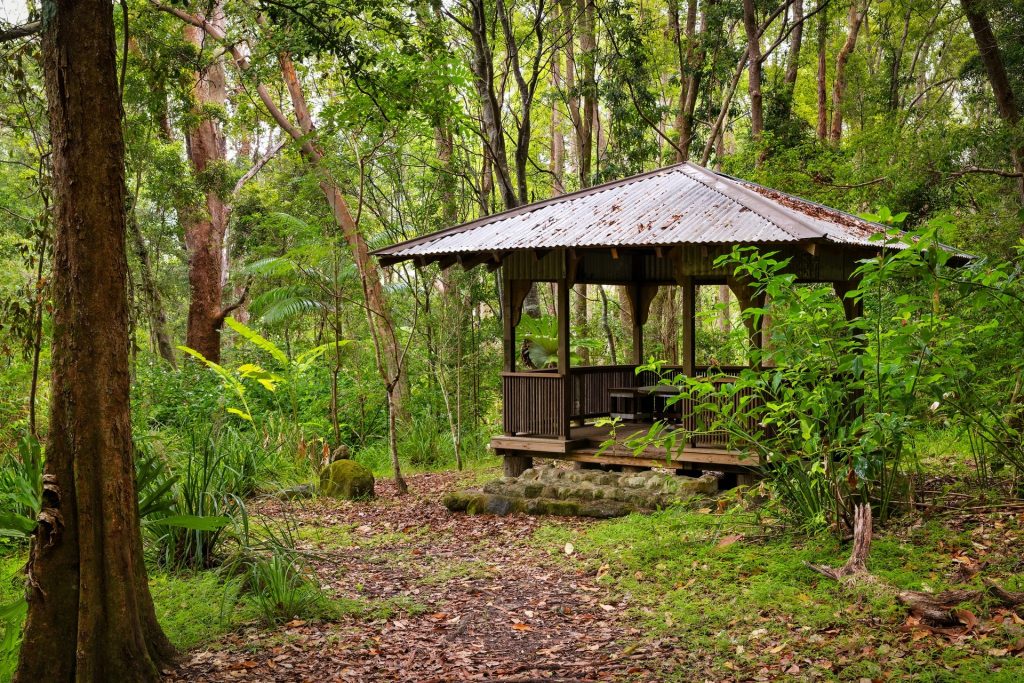 For Sale - 715 Left Bank Road - New Property in Mullumbimby Creek - Real Estate by Tezu Harrison