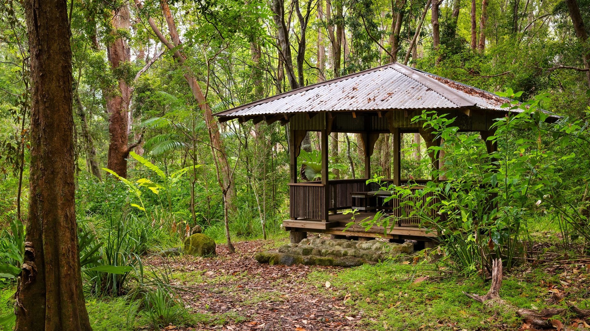 For Sale - 715 Left Bank Road - New Property in Mullumbimby Creek - Real Estate by Tezu Harrison