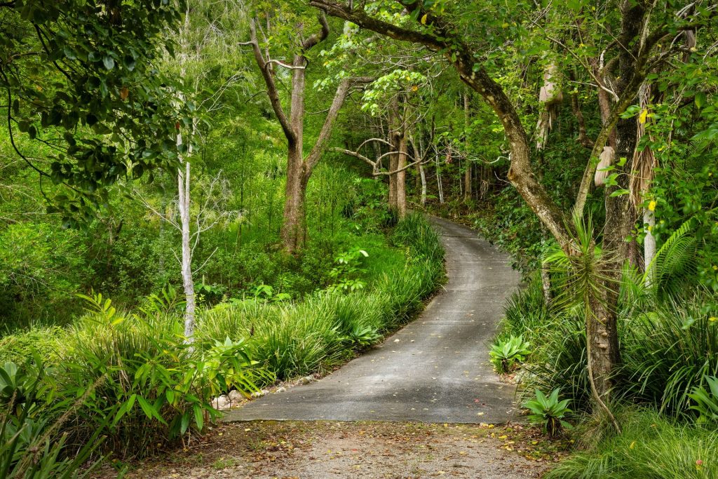For Sale - 715 Left Bank Road - New Property in Mullumbimby Creek - Real Estate by Tezu Harrison