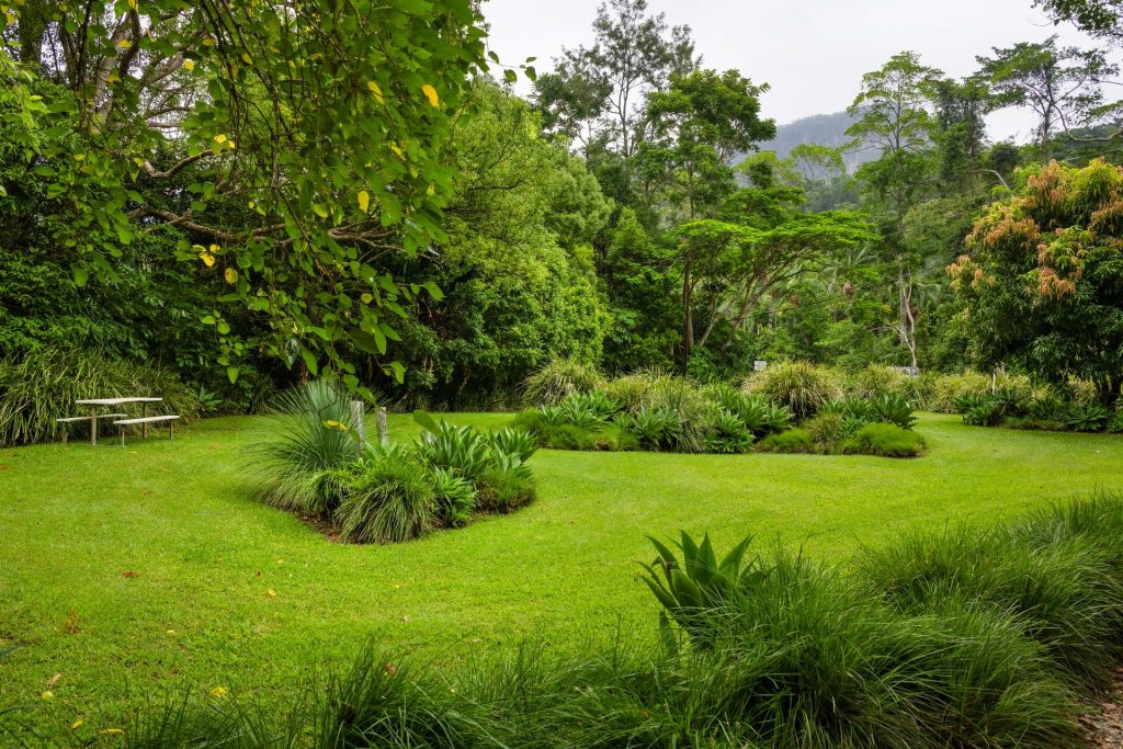 For Sale - 715 Left Bank Road - New Property in Mullumbimby Creek - Real Estate by Tezu Harrison