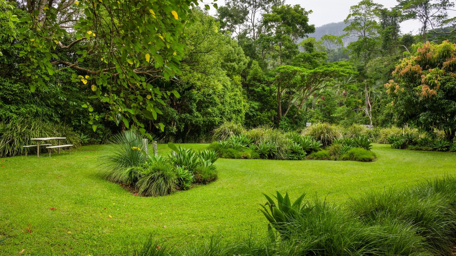 For Sale - 715 Left Bank Road - New Property in Mullumbimby Creek - Real Estate by Tezu Harrison