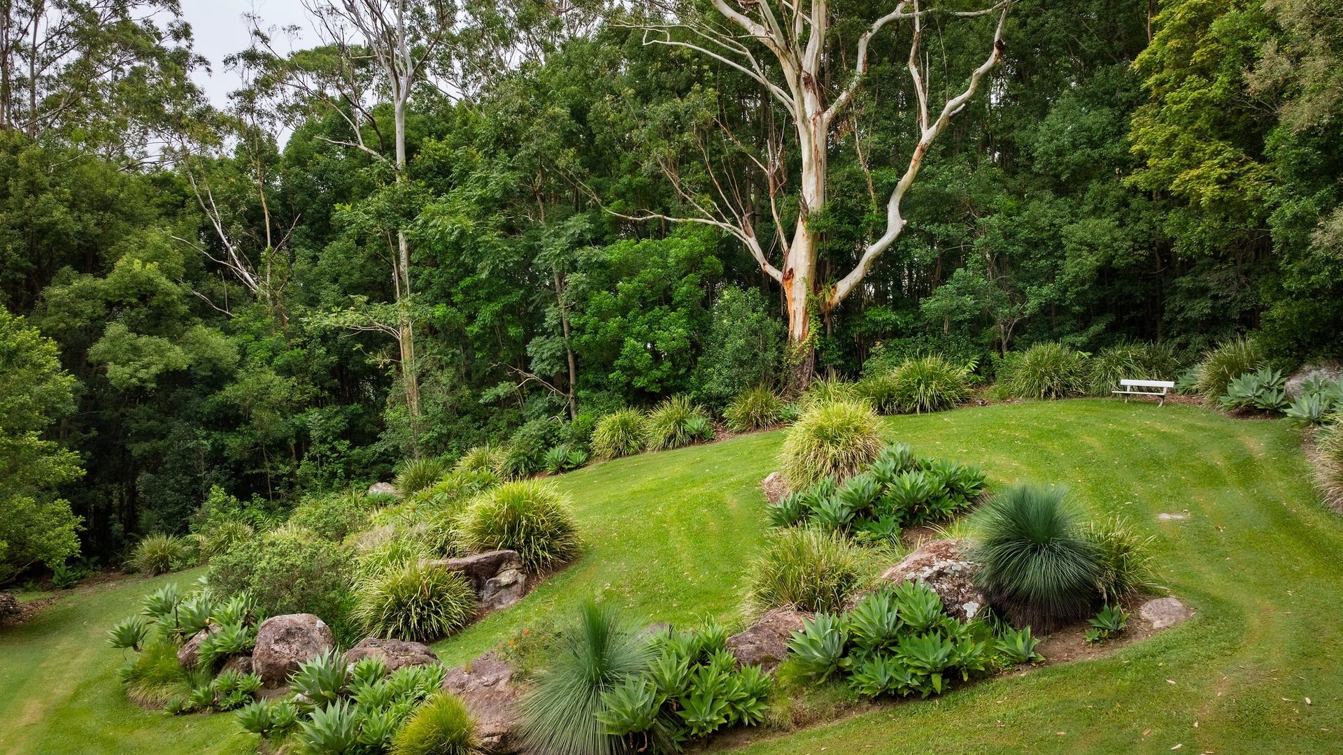 For Sale - 715 Left Bank Road - New Property in Mullumbimby Creek - Real Estate by Tezu Harrison