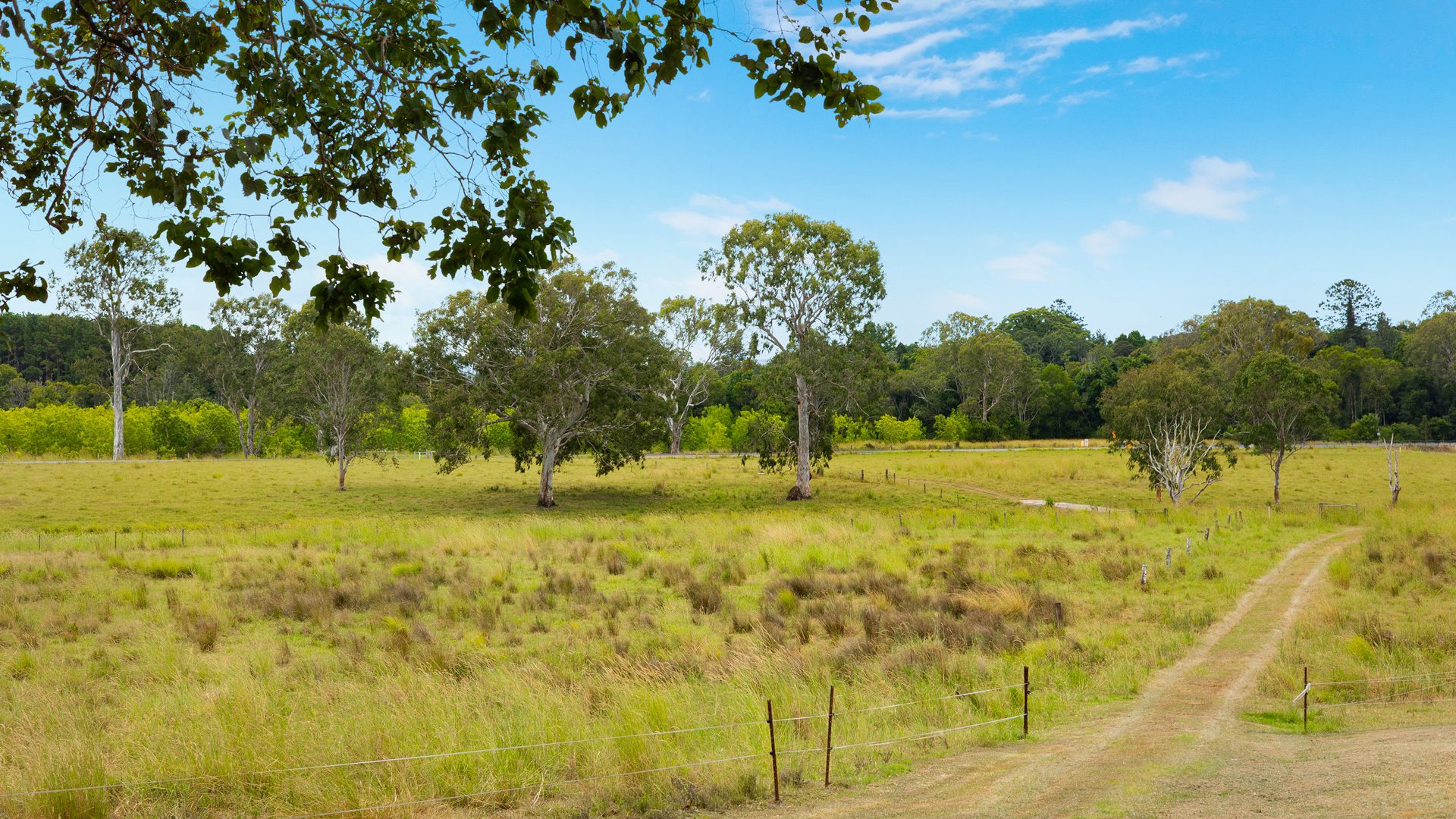 Sold - 527 Bangalow Road - New Property in Lagoon Grass - Real Estate by Max Mulcahy