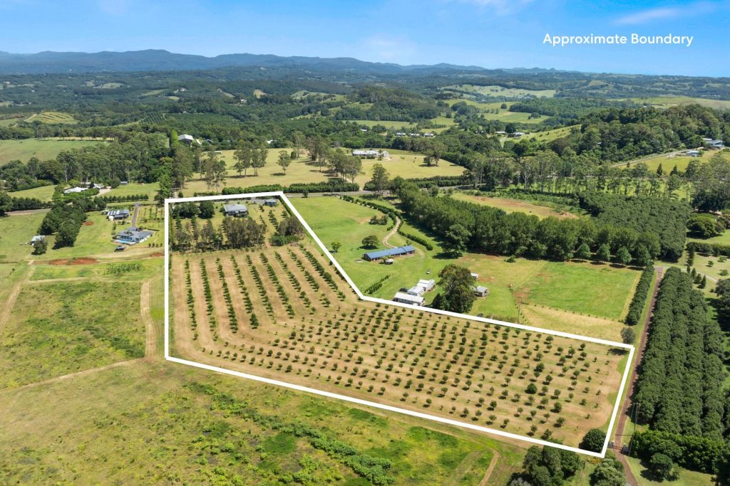 For Sale - 814 Fernleigh Road - New Property in Brooklet - Real Estate by Adam & Maxine Gaiter
