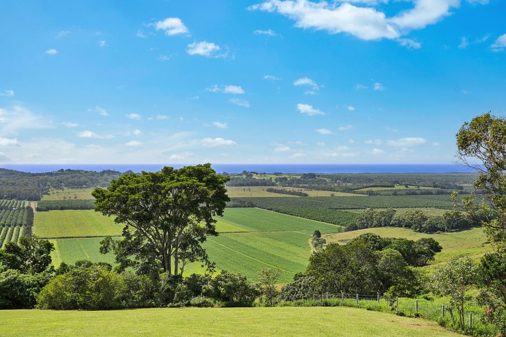For Sale - 10 Lorna Place - New Property in Newrybar - Real Estate by Nick Dunn