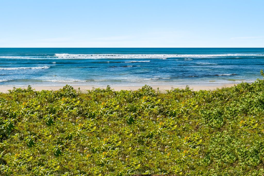 Sold - 4 Rayner Lane - New Property in Lennox Head - Real Estate by Jason Crethar