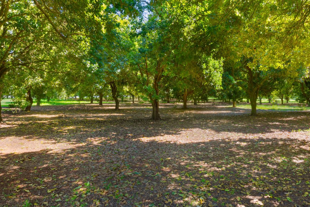 Sold - 68 Connor Road - New Property in Tregeagle - Real Estate by Adam & Maxine Gaiter
