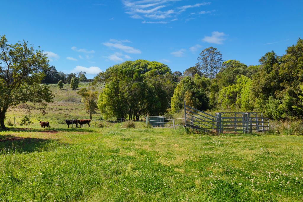Sold - 68 Connor Road - New Property in Tregeagle - Real Estate by Adam & Maxine Gaiter