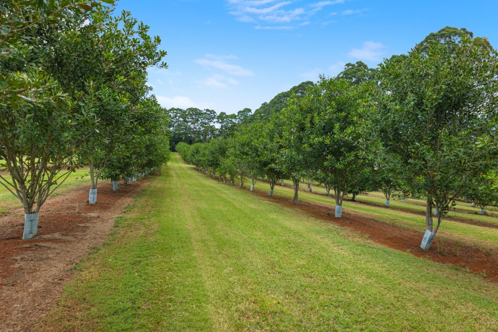For Sale - 657 Ellis Road - New Property in Rous - Real Estate by Bill Johnston