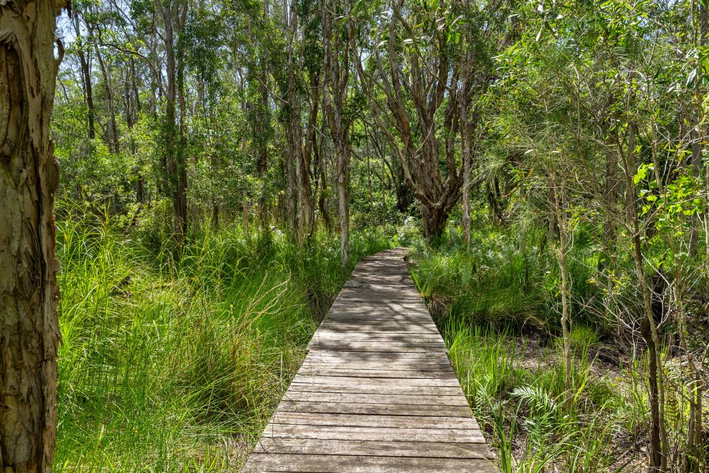 For Sale - 100 Redgate Road - New Property in South Golden Beach - Real Estate by Nick Dunn