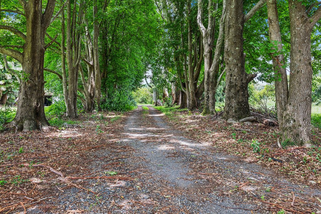 Sold - 959 Teven Road - New Property in Tuckombil - Real Estate by Bill Johnston