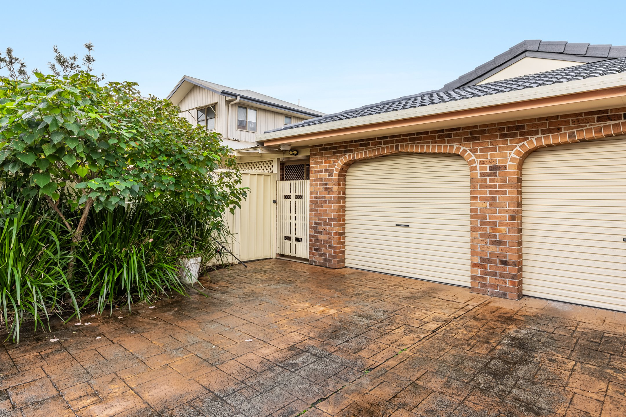 For Rent - 161 Winton Lane - New Property in Ballina - Real Estate by Zane Grier