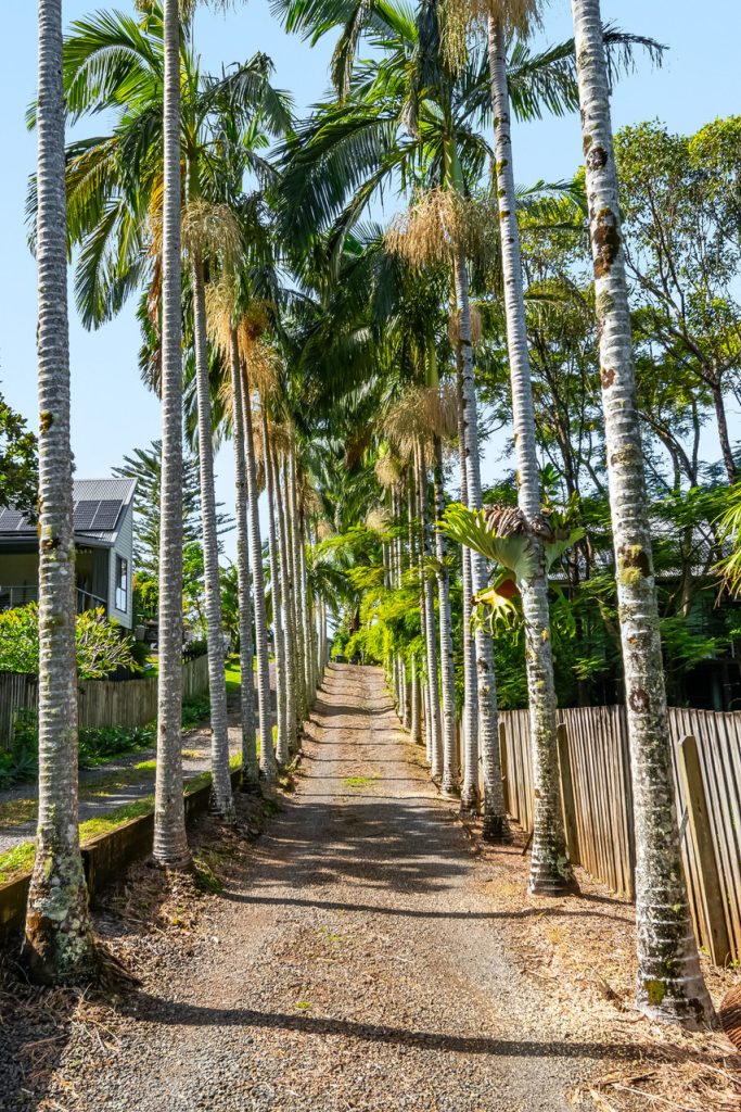 For Sale - 41 Fig Tree Hill Drive - New Property in Lennox Head - Real Estate by Graham Houston