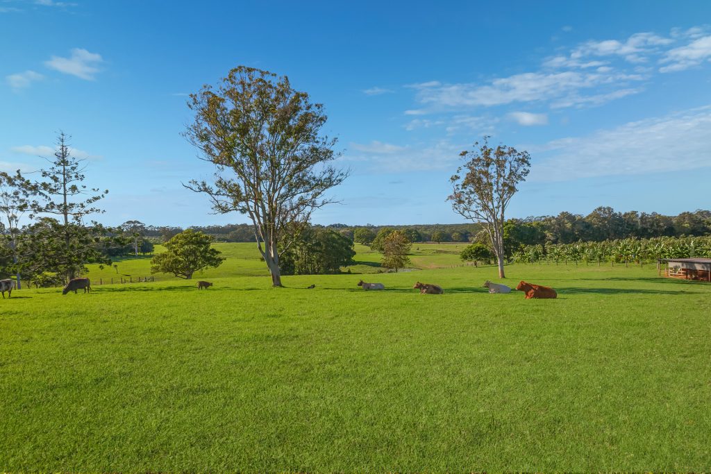 For Sale - 107 Lindendale Road - New Property in Wollongbar - Real Estate by Bill Johnston