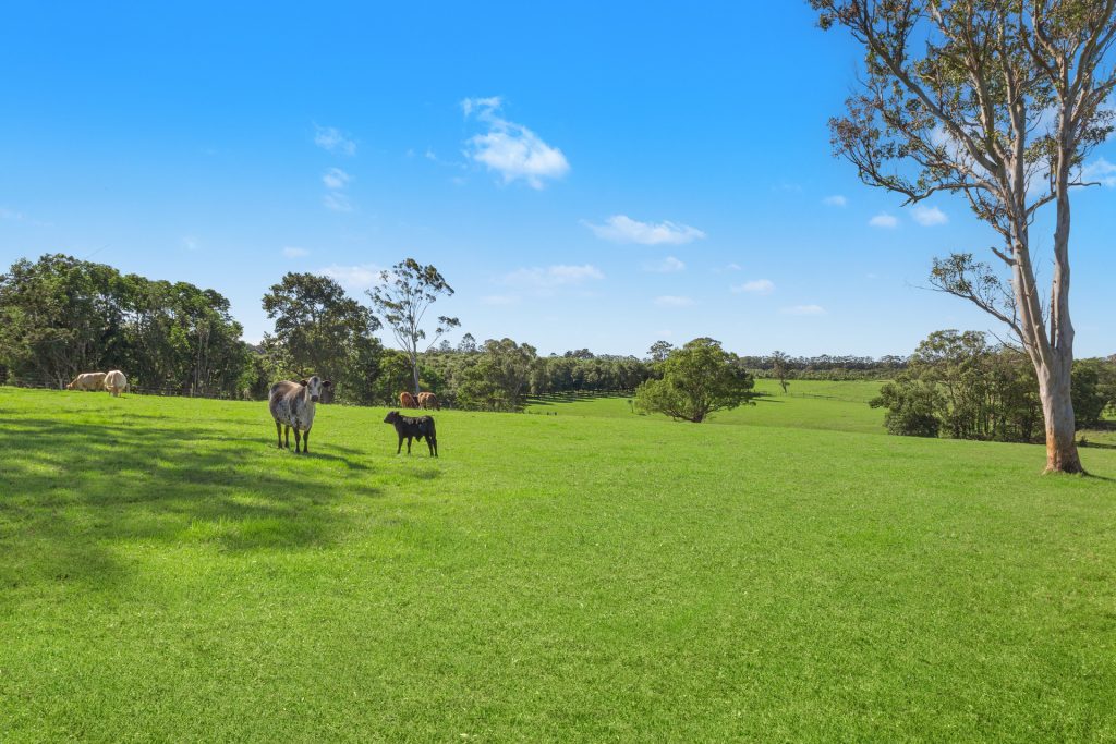 For Sale - 107 Lindendale Road - New Property in Wollongbar - Real Estate by Bill Johnston