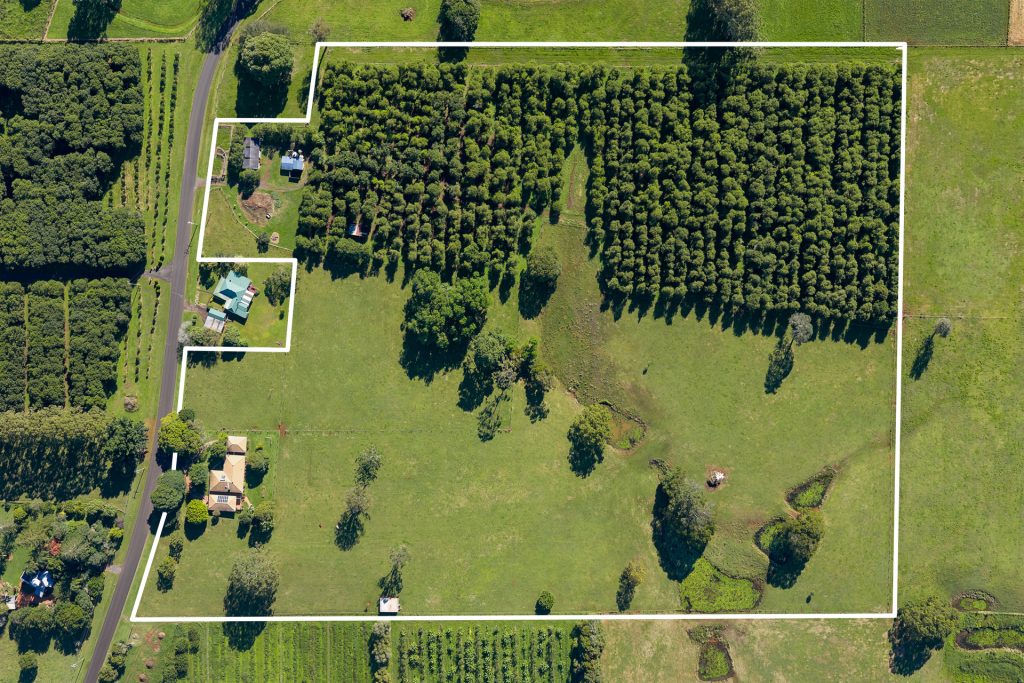 For Sale - 107 Lindendale Road - New Property in Wollongbar - Real Estate by Bill Johnston