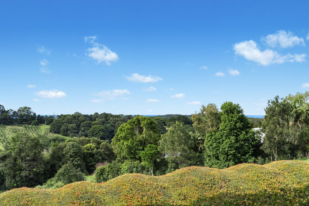Sold - 157 Coopers Shoot Road - New Property in Coopers Shoot - Real Estate by Tezu Harrison