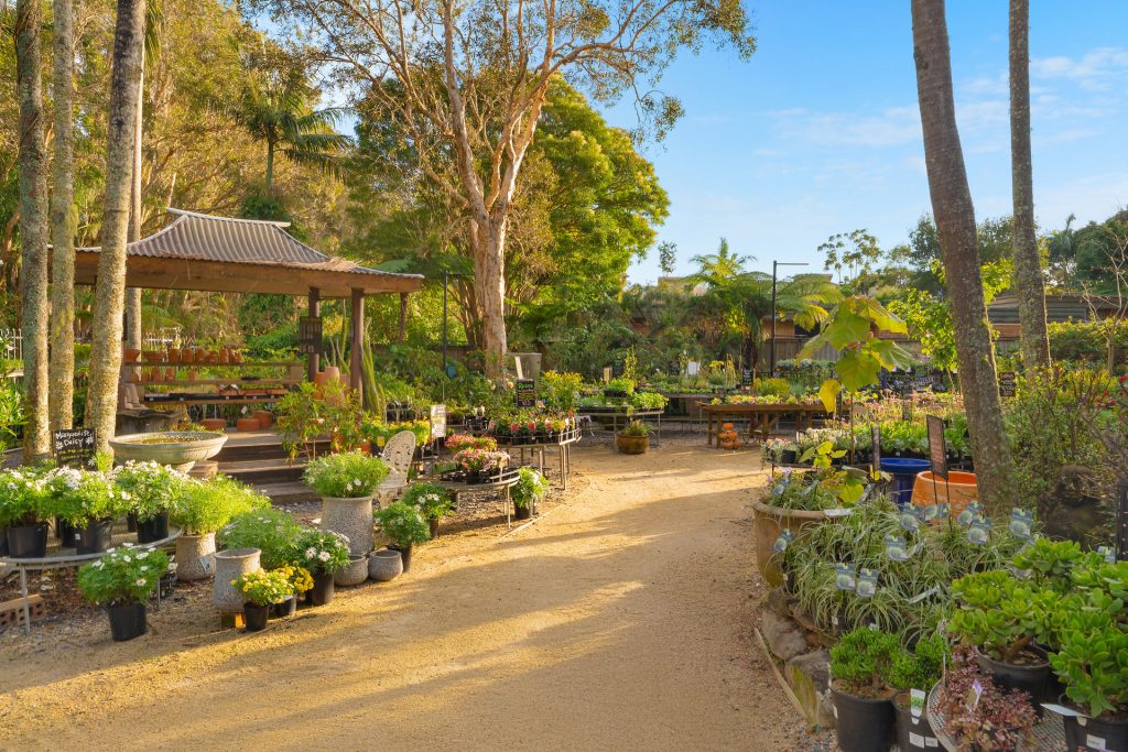 For Sale - 140 Bangalow Road - New Property in Byron Bay - Real Estate by Nick Dunn