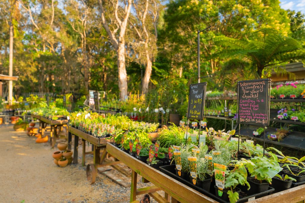 For Sale - 140 Bangalow Road - New Property in Byron Bay - Real Estate by Nick Dunn