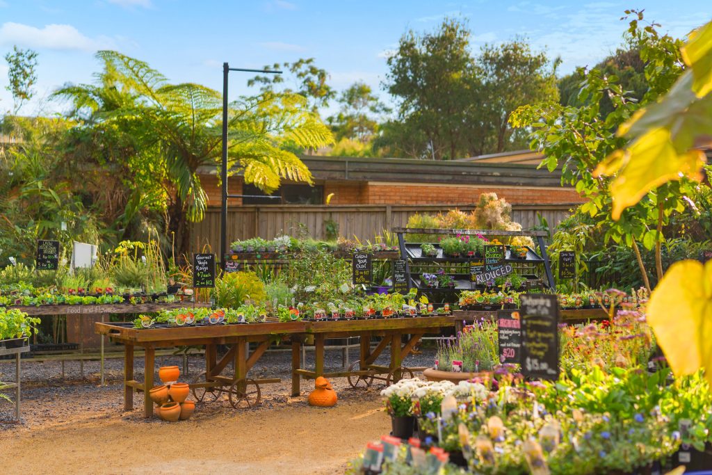 For Sale - 140 Bangalow Road - New Property in Byron Bay - Real Estate by Nick Dunn
